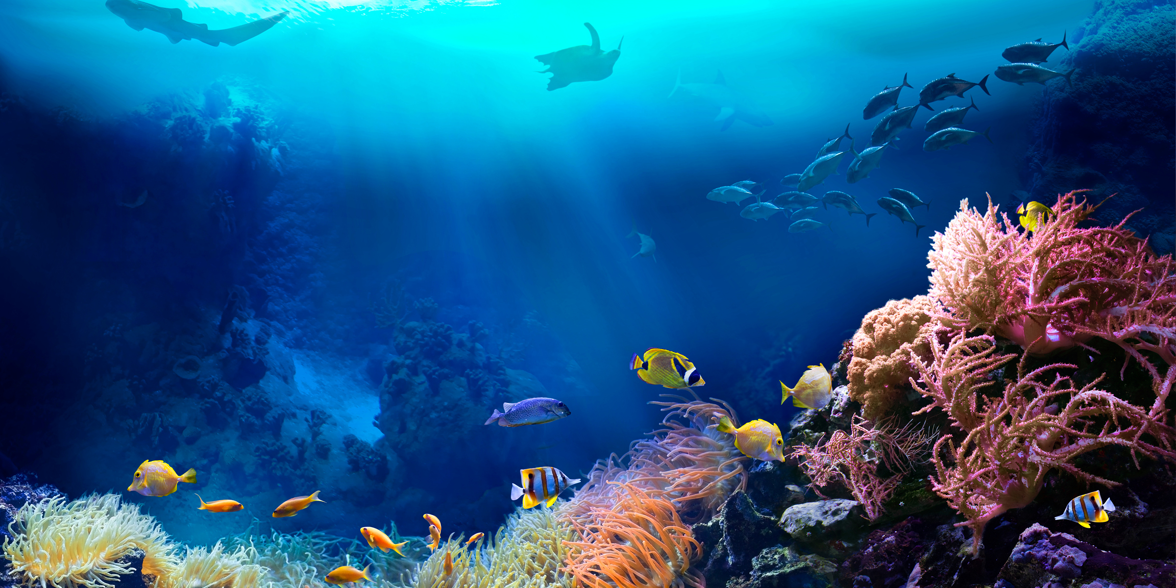 The ocean | Source: Shutterstock