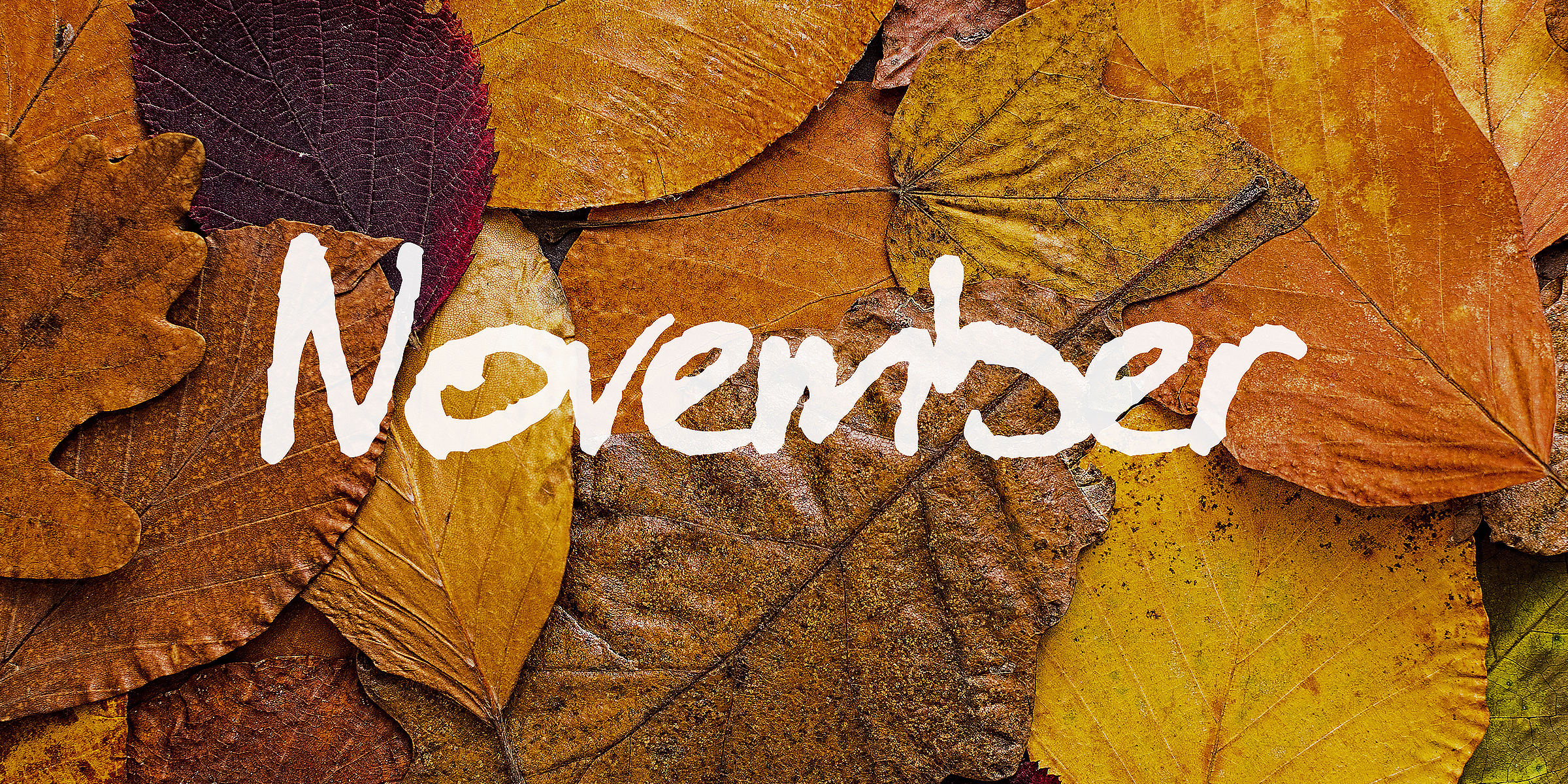The word November on autumn background | Source: Shutterstock
