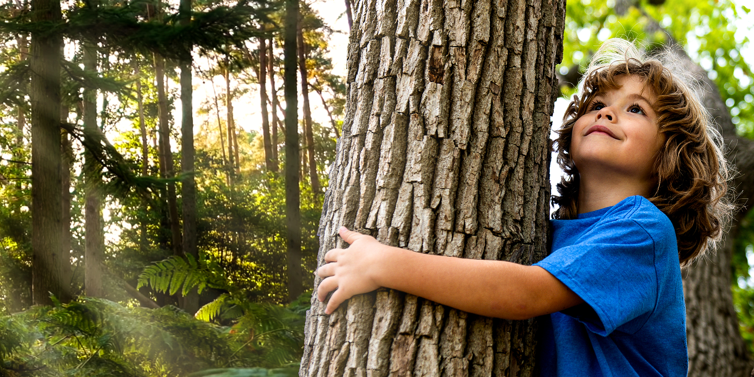 A child hugging a tree | Source: YouTube/Relaxation Film | Shutterstock